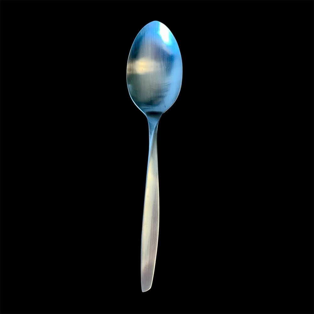 Insico Serving Spoon Flatware International Silver SCOPE Luxury Line SS USA